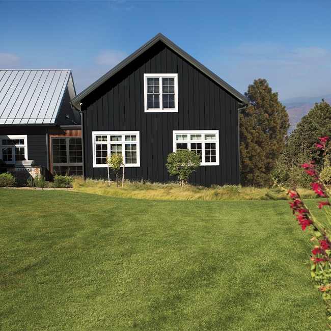 A black-painted ranch-style home with white window trim, surrounded by a lush green lawn and foliage. A black-painted ranch-style home with white window trim, surrounded by a lush green lawn and foliage.