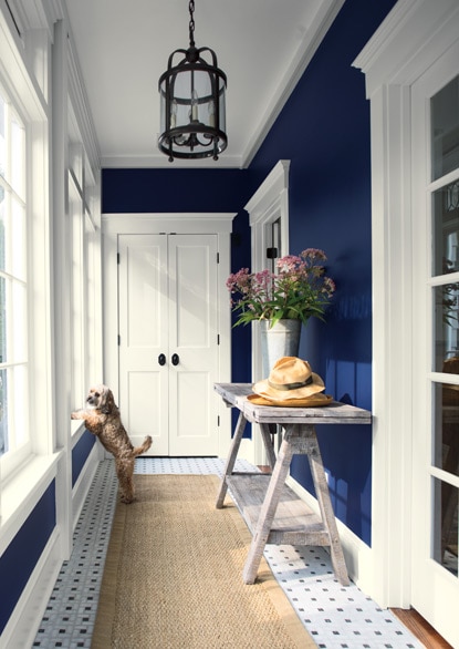 A dark blue-painted hallway with white trim and pendant lighting fixture. A dark blue-painted hallway with white trim and pendant lighting fixture.