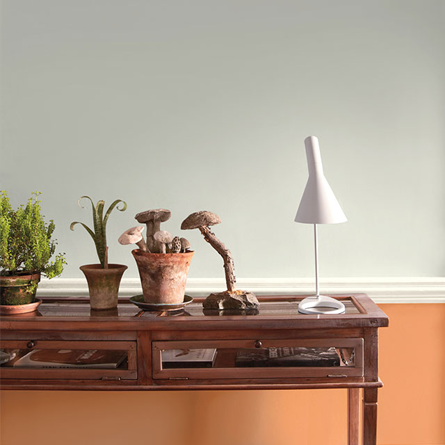 A room with white-painted upper walls and wainscoting in orange, featuring a wooden desk with plant décor. A room with white-painted upper walls and wainscoting in orange, featuring a wooden desk with plant décor.