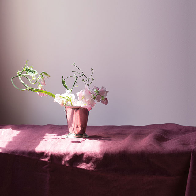 A magenta fabric on a table, topped with a pot of flowers in front of a purple wall. A magenta fabric on a table, topped with a pot of flowers in front of a purple wall.