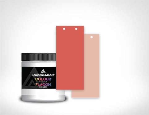 Une sélection de flacons d'essai Benjamin Moore. Une sélection de flacons d'essai Benjamin Moore.