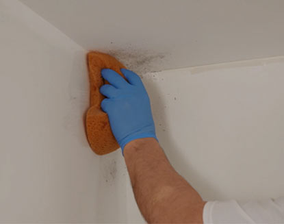 How to remove mildew to prepare wall for painting. How to remove mildew to prepare wall for painting.